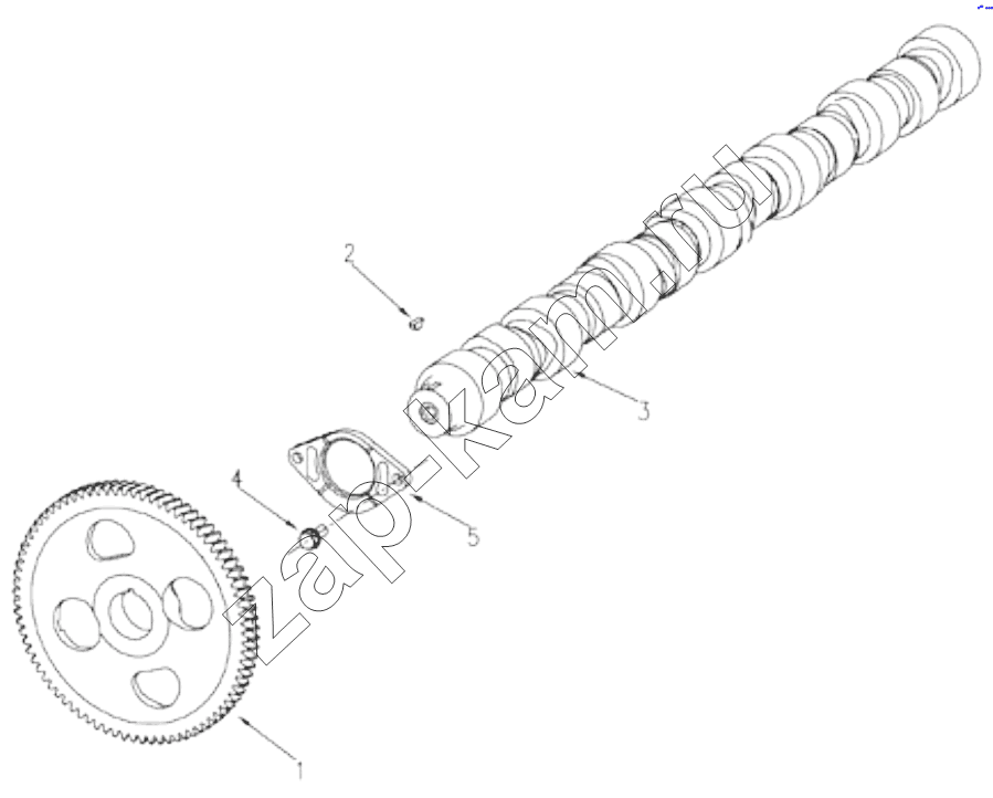 Схема/чертеж: 1S42591000201 Engine-camshaft assembly / Foton 4189SLFKA-AEZA01