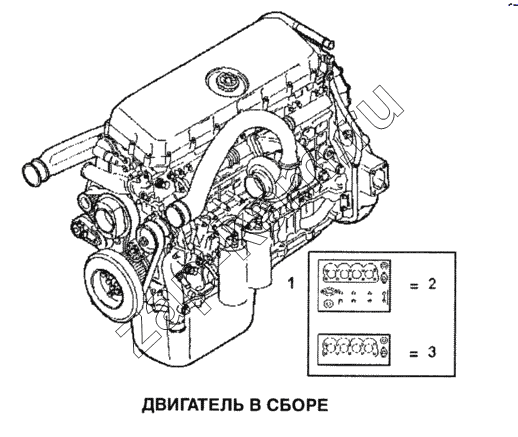 Схема/чертеж: Двигатель в сборе / IVECO Stralis
