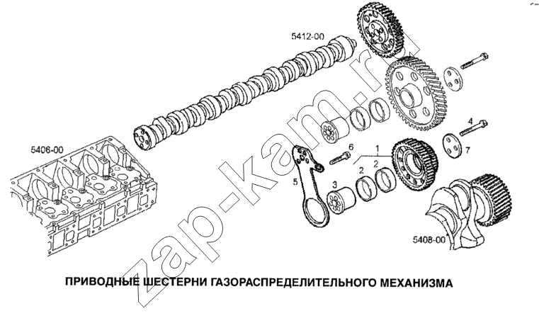 Схема/чертеж: Шестерни газораспределительного механизма / IVECO Stralis