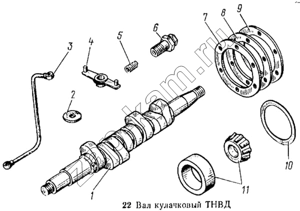 Схема/чертеж: Вал кулачковый ТНВД / КамАЗ 5315