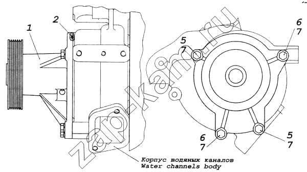 Схема/чертеж: Установка водяного насоса / КамАЗ 5460