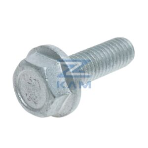 Болт M8x25x1,25 (6g) / Белзан