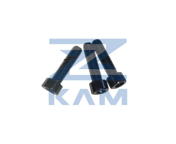 Винт с цилиндрической головкой с внутренним шестигранником КПП Fast Gear 12JZ24 / FG