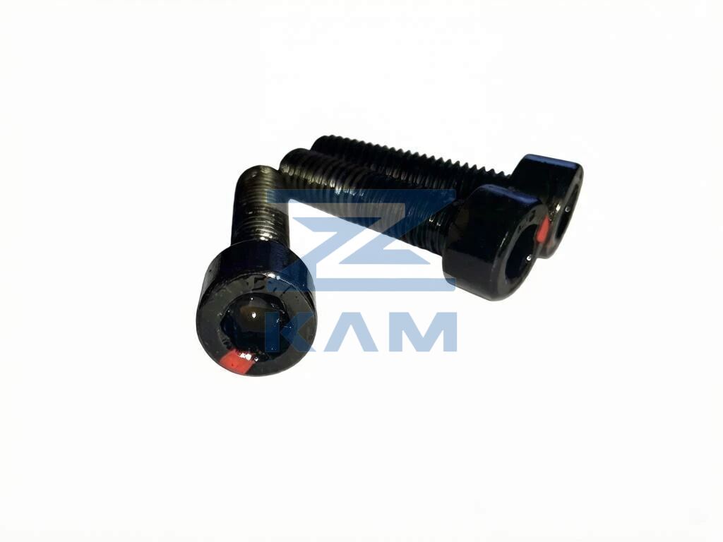 Винт с цилиндрической головкой с внутренним шестигранником КПП Fast Gear 12JZ24 / FG